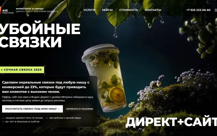 Убойные связки: Директ + сайт