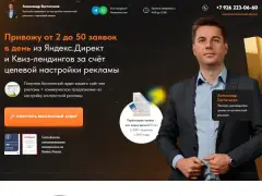 Ya-Audit: сайт директолога